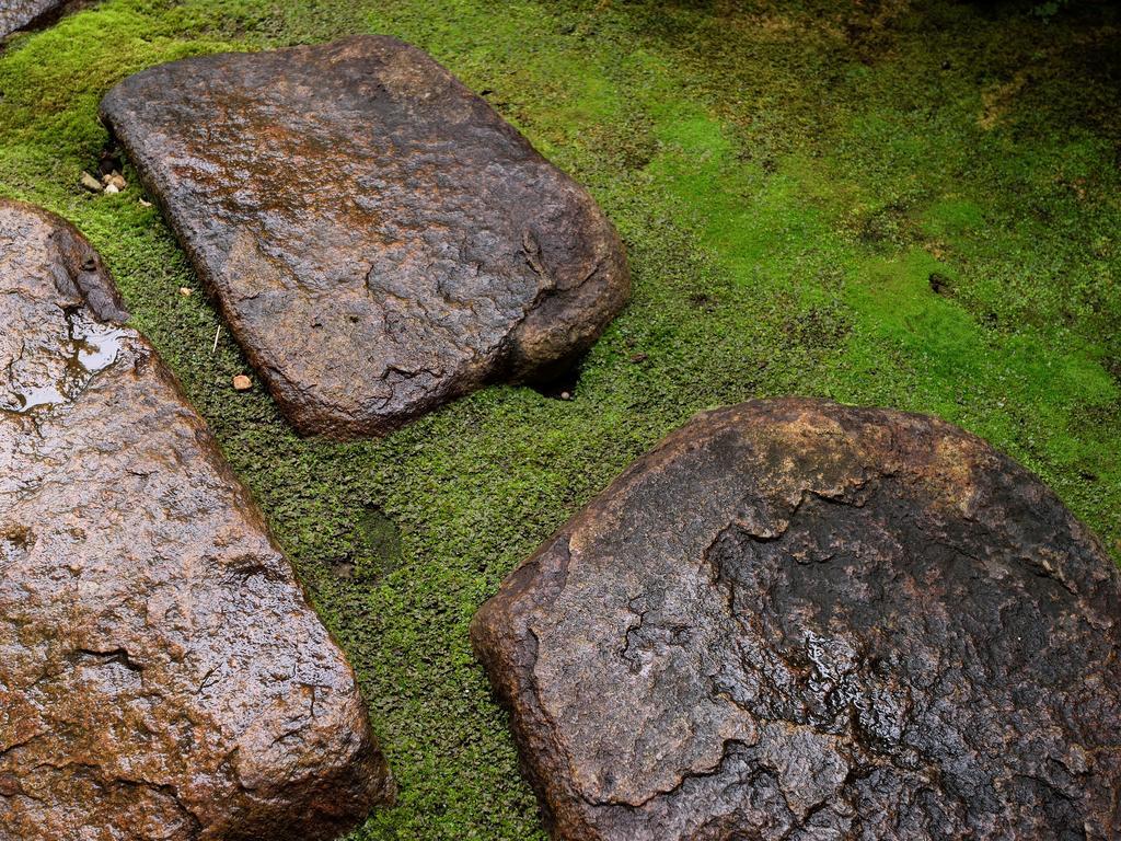 Atamisekitei Annex Sakuragaokasaryo Hotel Atami  Kültér fotó